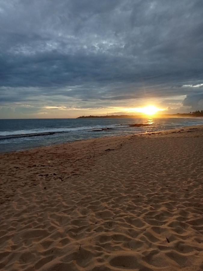 Mangrove Beach Cabana แทนกาลเล ภายนอก รูปภาพ