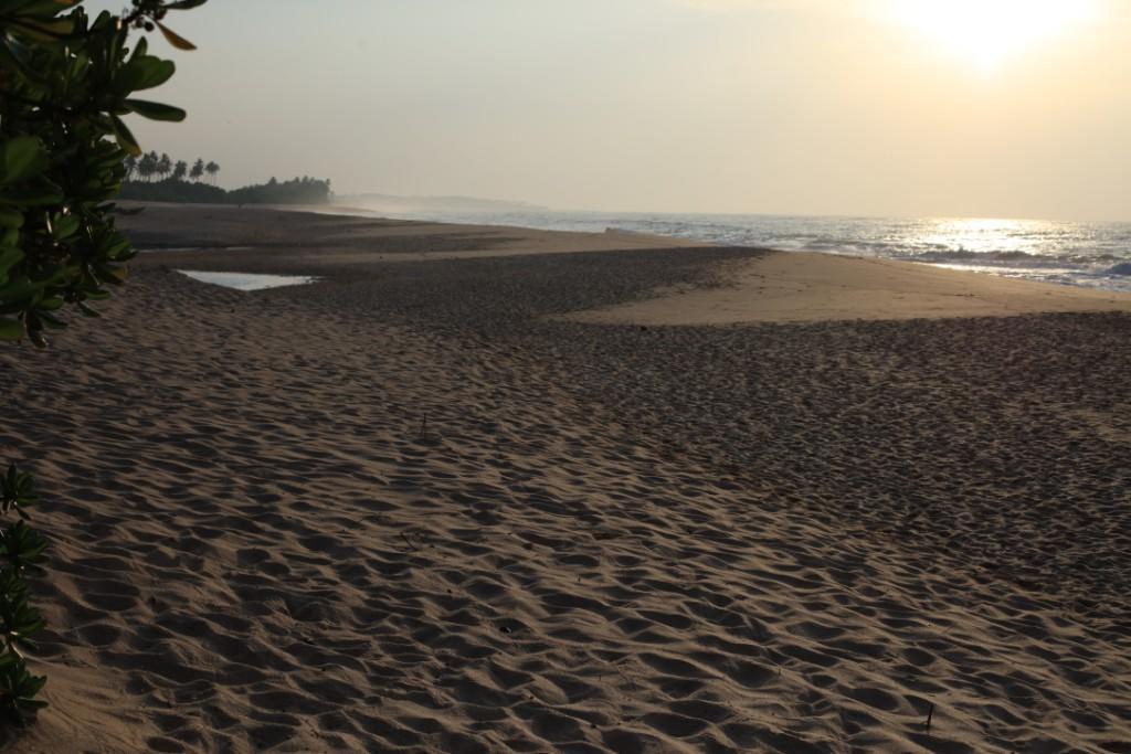 Mangrove Beach Cabana แทนกาลเล ภายนอก รูปภาพ
