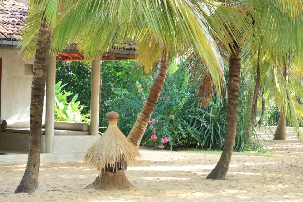 Mangrove Beach Cabana แทนกาลเล ภายนอก รูปภาพ