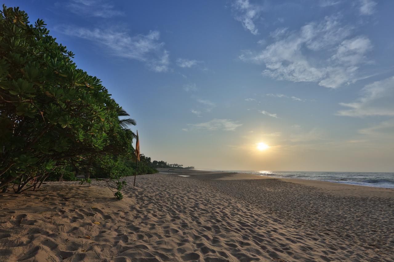 Mangrove Beach Cabana แทนกาลเล ภายนอก รูปภาพ