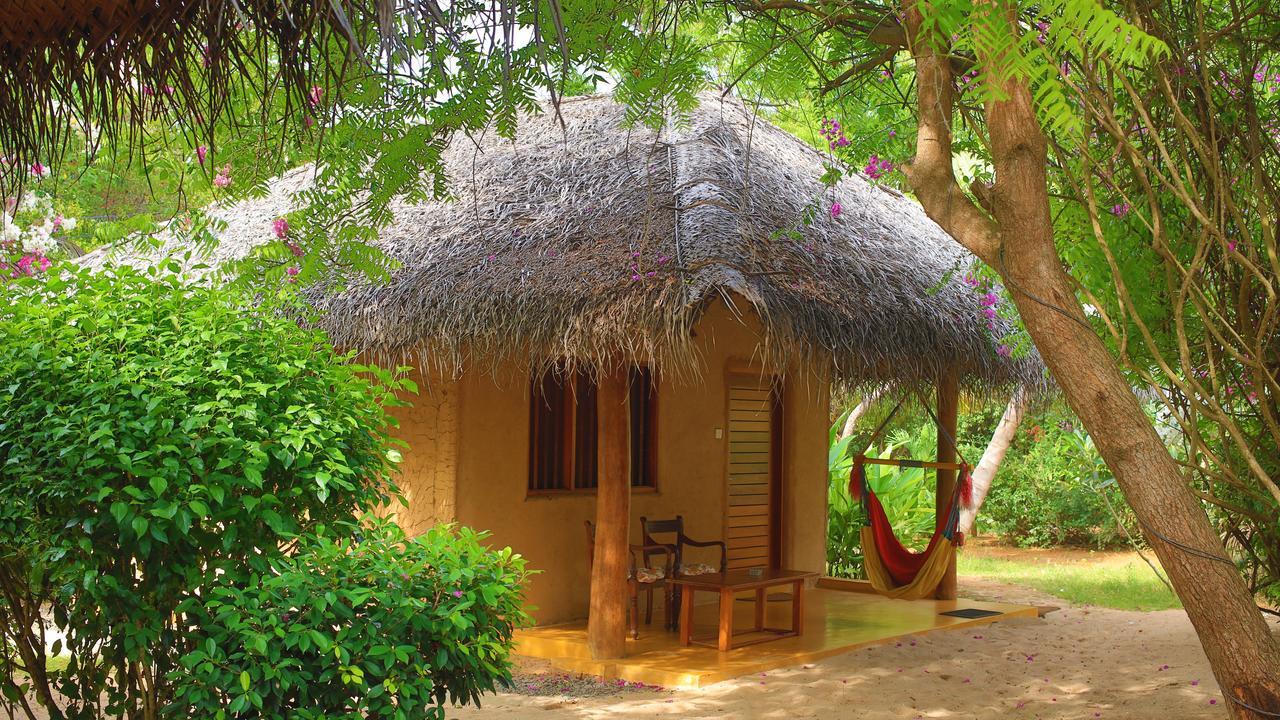 Mangrove Beach Cabana แทนกาลเล ภายนอก รูปภาพ