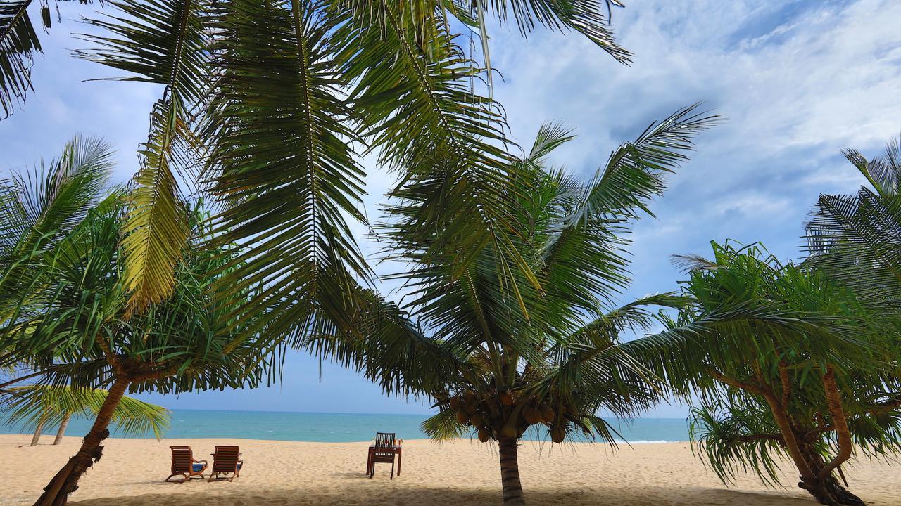 Mangrove Beach Cabana แทนกาลเล ภายนอก รูปภาพ